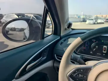 2023 Ora Good Cat с пробегом 95 000 км