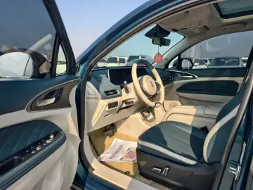 2023 Ora Good Cat с пробегом 95 000 км
