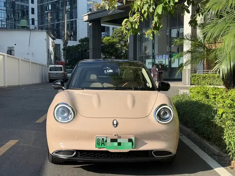 2021 Ora Good Cat с пробегом 33 000 км
