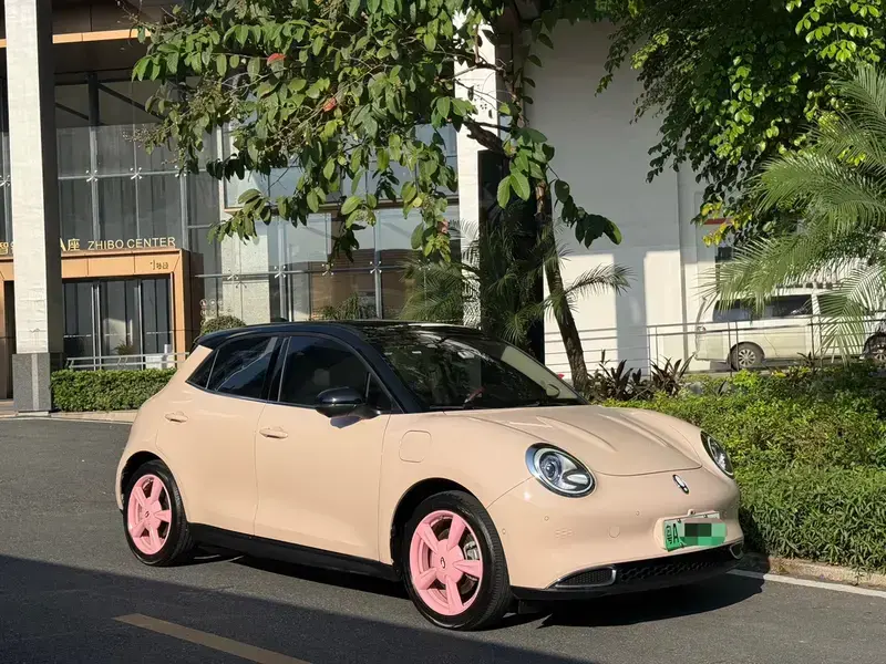 2021 Ora Good Cat с пробегом 33 000 км