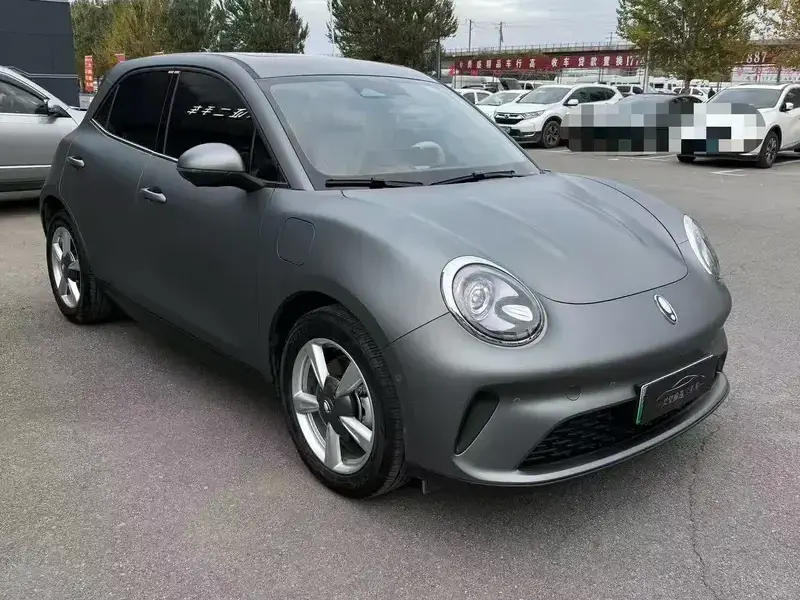 2025 Ora Good Cat с пробегом 13 000 км