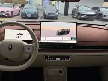 2025 Ora Good Cat с пробегом 13 000 км