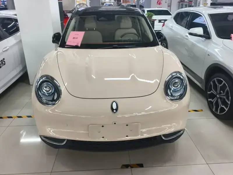 2021 Ora Good Cat с пробегом 50 000 км