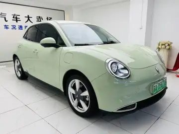 2023 Ora Good Cat с пробегом 53 000 км