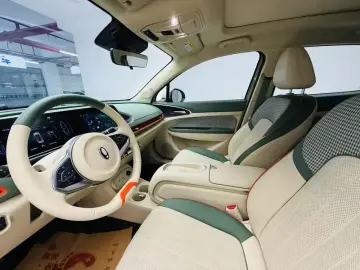 2023 Ora Good Cat с пробегом 53 000 км