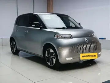 2022 Ora White Cat с пробегом 104 000 км