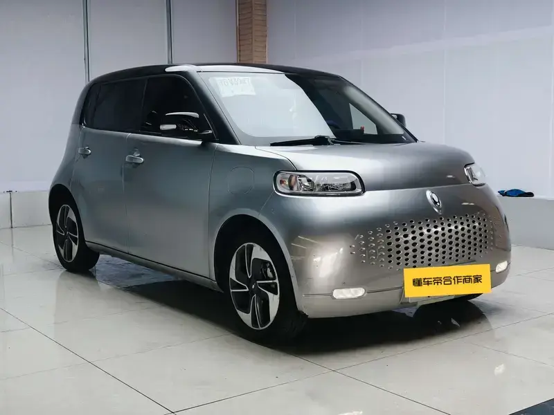 2022 Ora White Cat с пробегом 104 000 км