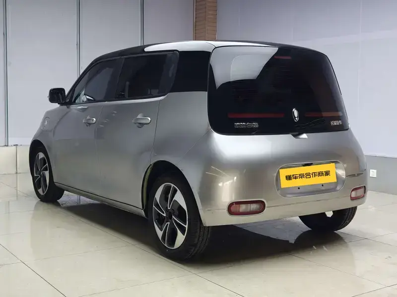 2022 Ora White Cat с пробегом 104 000 км