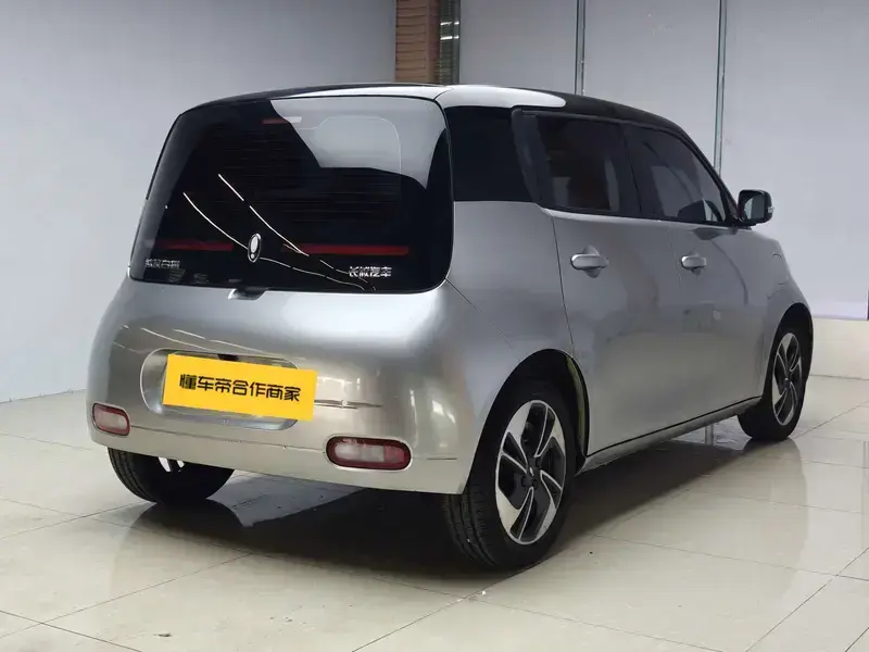 2022 Ora White Cat с пробегом 104 000 км
