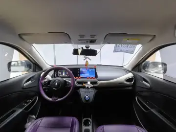2022 Ora White Cat с пробегом 104 000 км