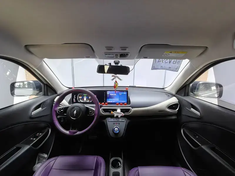 2022 Ora White Cat с пробегом 104 000 км