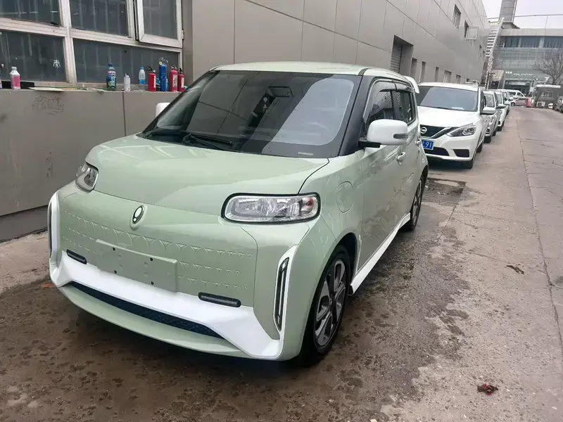 2022 Ora White Cat с пробегом 61 000 км