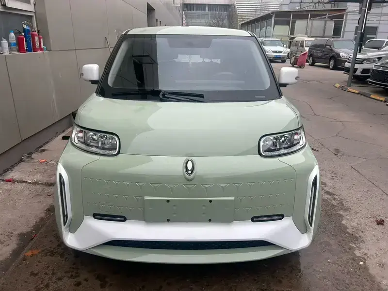 2022 Ora White Cat с пробегом 61 000 км