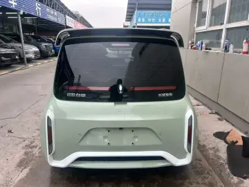 2022 Ora White Cat с пробегом 61 000 км