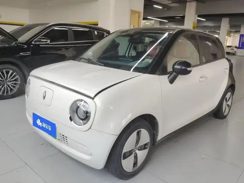 2022 Ora Black Cat с пробегом 91 000 км