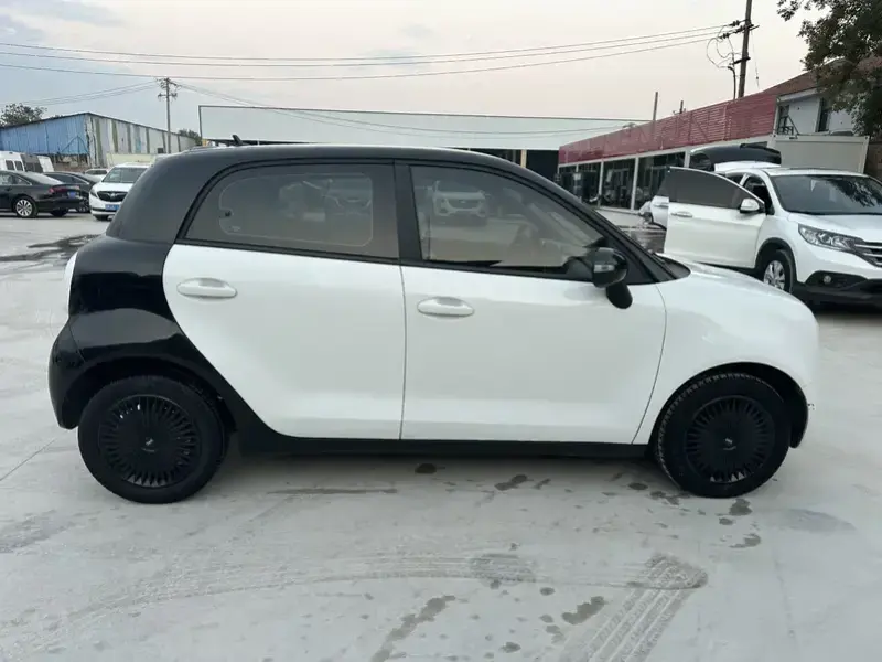 2021 Ora Black Cat с пробегом 53 000 км