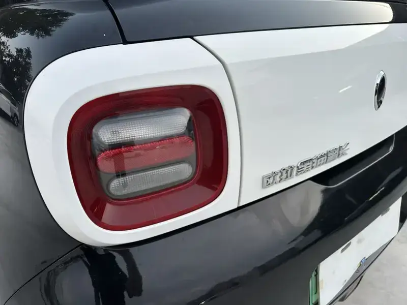 2021 Ora Black Cat с пробегом 53 000 км