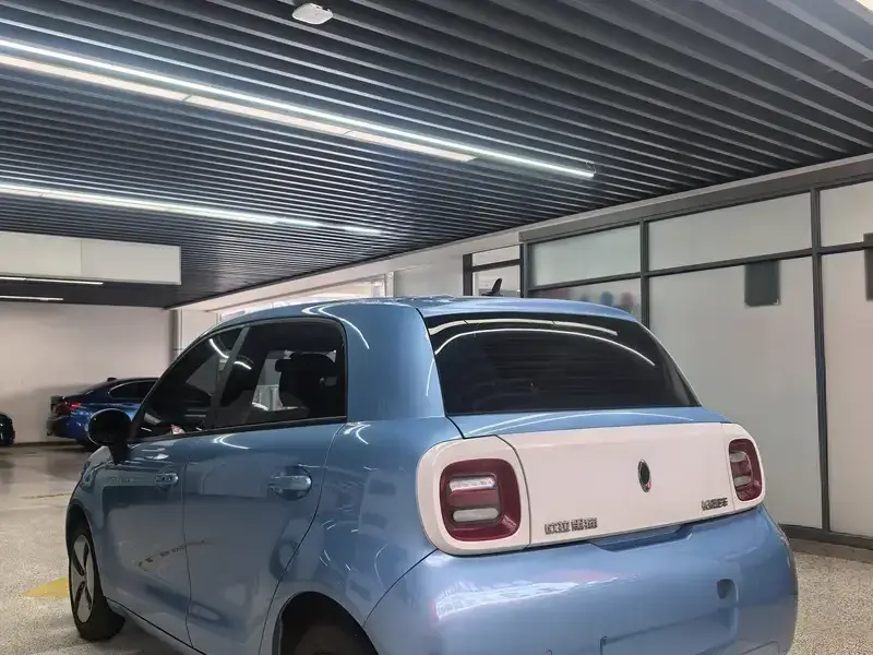 2021 Ora Black Cat с пробегом 60 000 км