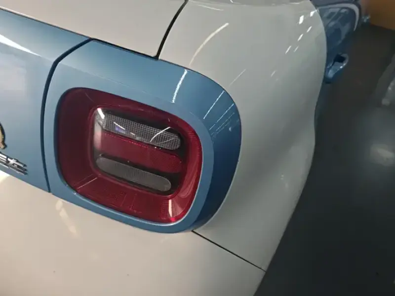 2021 Ora Black Cat с пробегом 55 000 км