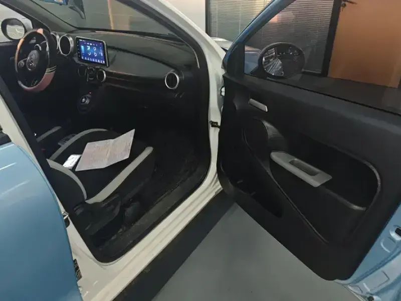 2021 Ora Black Cat с пробегом 55 000 км
