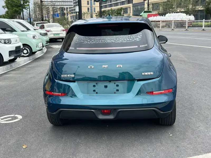 2023 Ora Good Cat с пробегом 50 000 км
