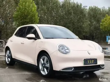 2023 Ora Good Cat с пробегом 30 000 км