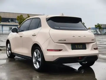 2023 Ora Good Cat с пробегом 30 000 км