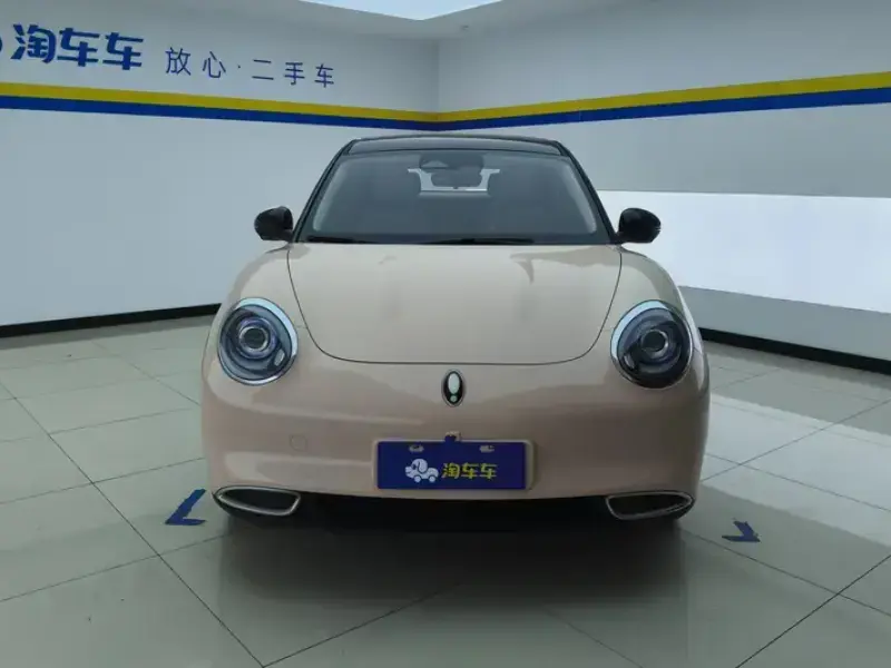2023 Ora Good Cat с пробегом 29 000 км