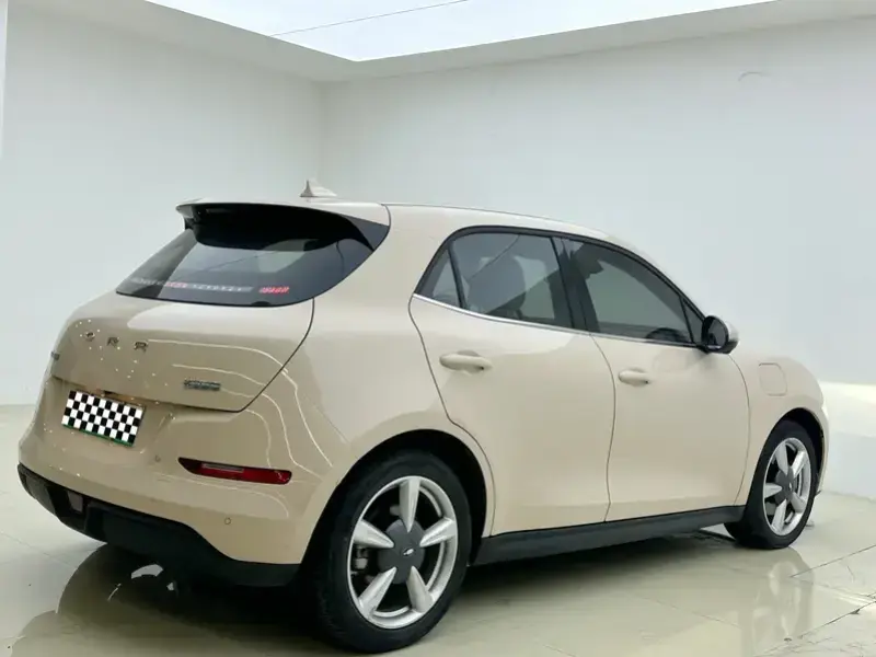 2023 Ora Good Cat с пробегом 30 000 км