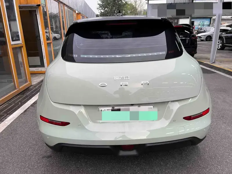 2022 Ora Good Cat с пробегом 70 000 км