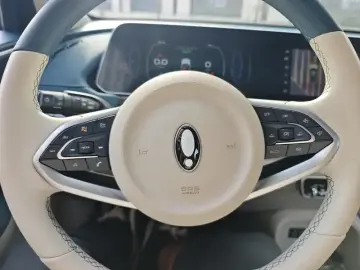 2021 Ora Good Cat с пробегом 57 000 км
