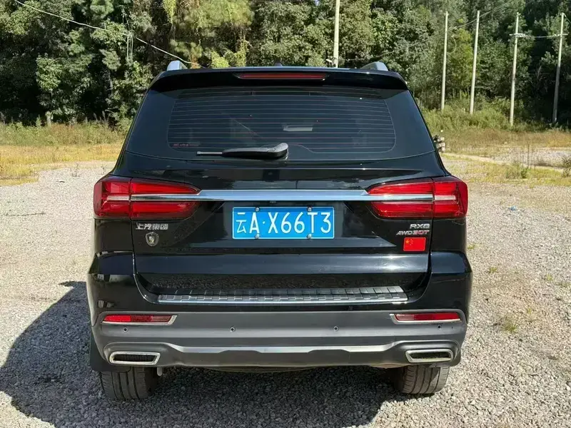 2019 Roewe RX8 с пробегом 110 000 км