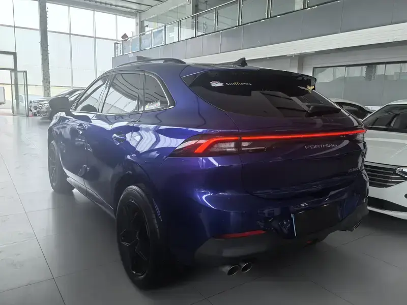 2021 Forthing T5 EVO с пробегом 60 000 км