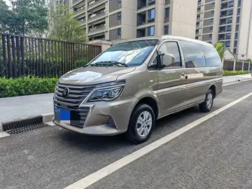 Forthing Lingzhi Plus
