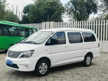 Forthing Lingzhi Plus