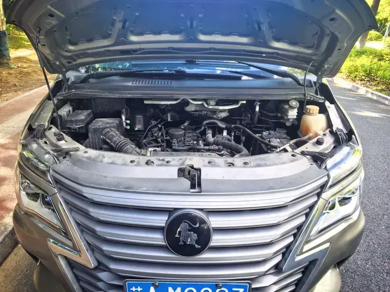 2024 Forthing Lingzhi Plus с пробегом 41 000 км