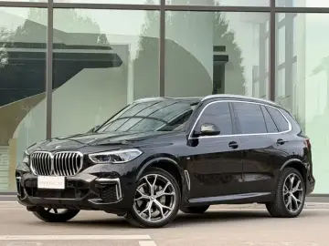 BMW X5 New Energy(Imported)