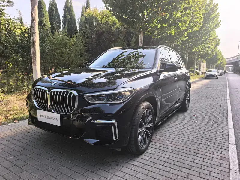 2022 BMW X5 New Energy(Imported) с пробегом 68 100 км