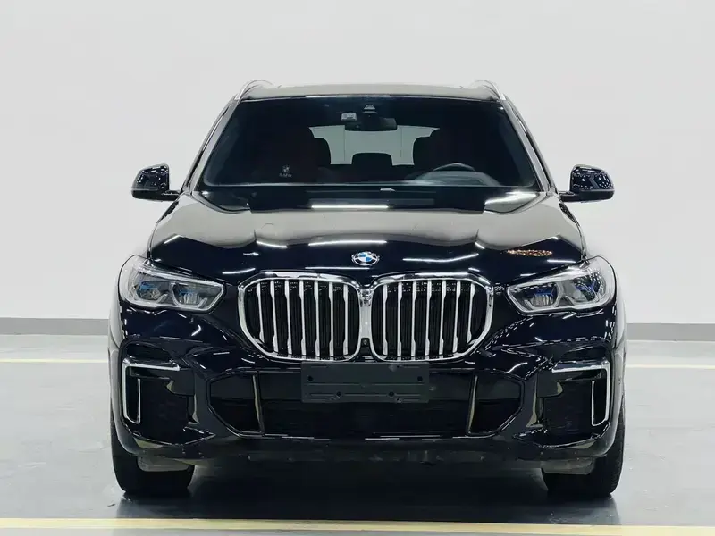 2022 BMW X5 New Energy(Imported) с пробегом 123 000 км