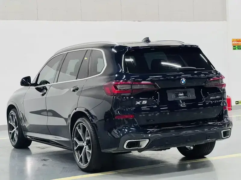 2022 BMW X5 New Energy(Imported) с пробегом 123 000 км