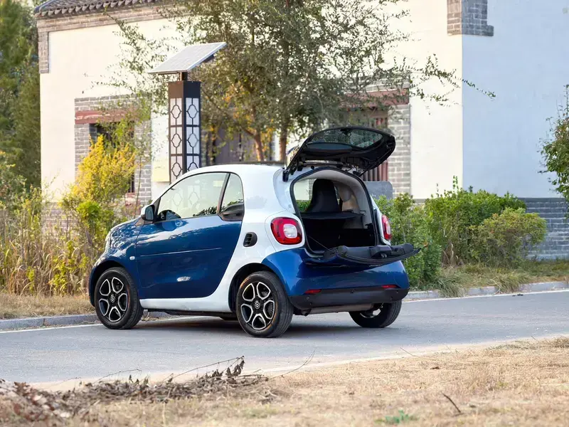 2019 Brabus smart fortwo с пробегом 86 000 км
