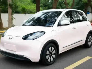 Wuling Binguo