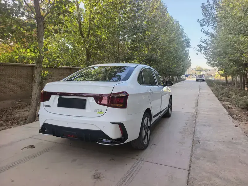 2023 Dongfeng Dongfeng Fengshen E70 с пробегом 400 км