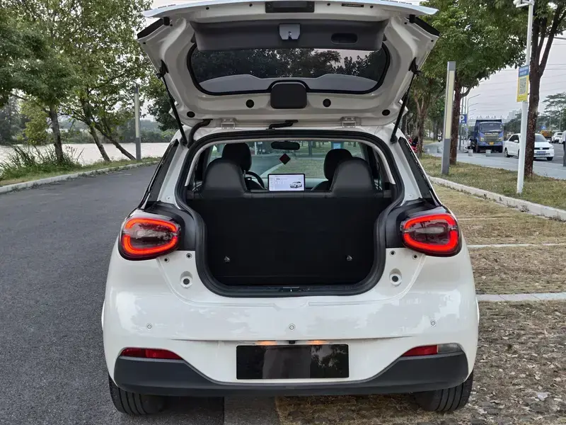 2024 Yipai Nano 01 с пробегом 51 000 км