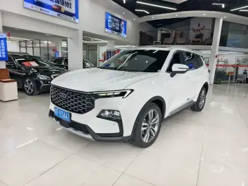 Ford Lingrui