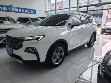 Ford Lingrui