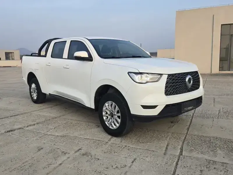 2019 Great Wall Pao с пробегом 78 000 км
