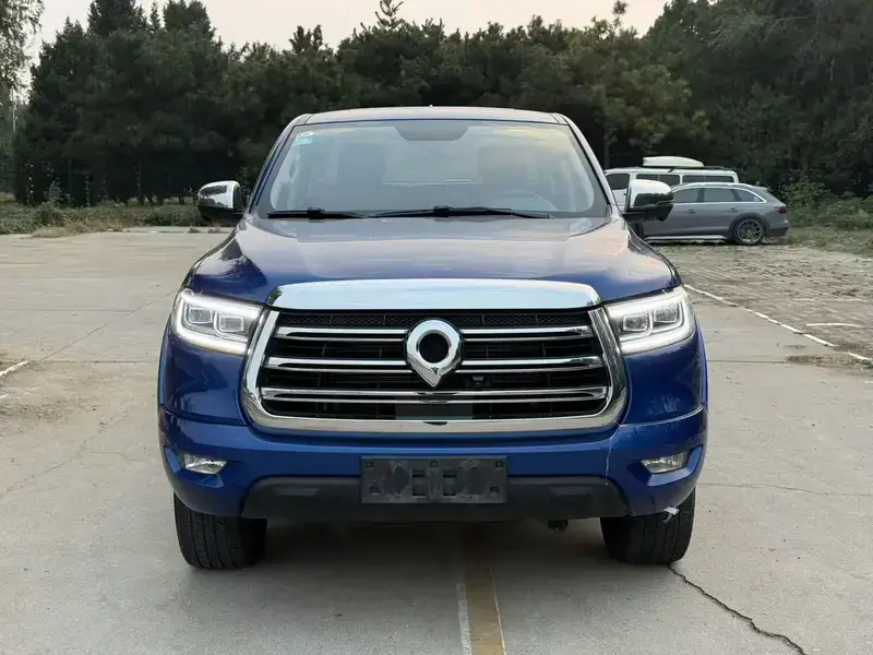 2019 Great Wall Pao с пробегом 59 000 км