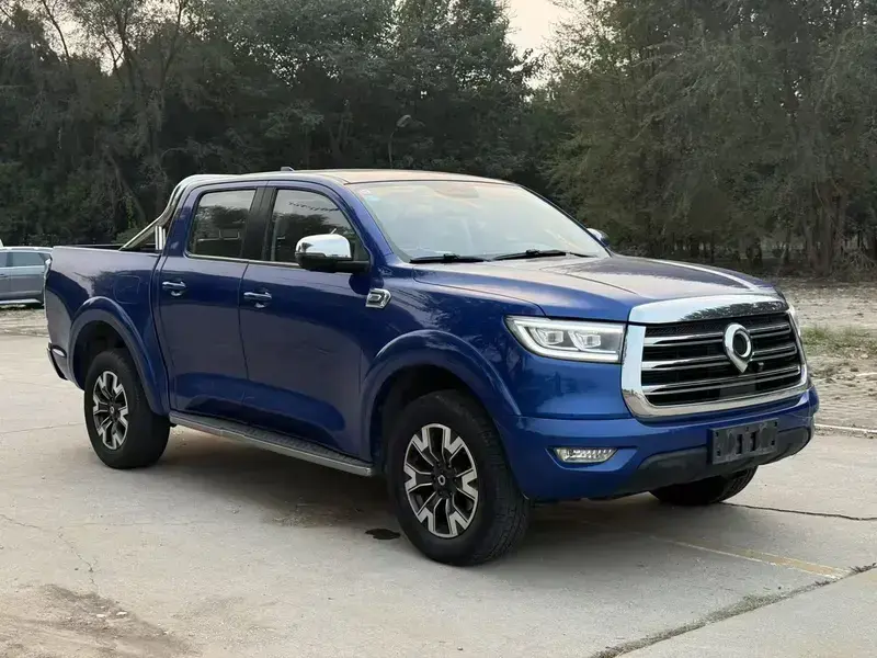 2019 Great Wall Pao с пробегом 59 000 км