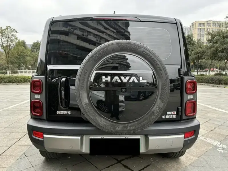 2024 Haval Menglong PLUS с пробегом 20 000 км
